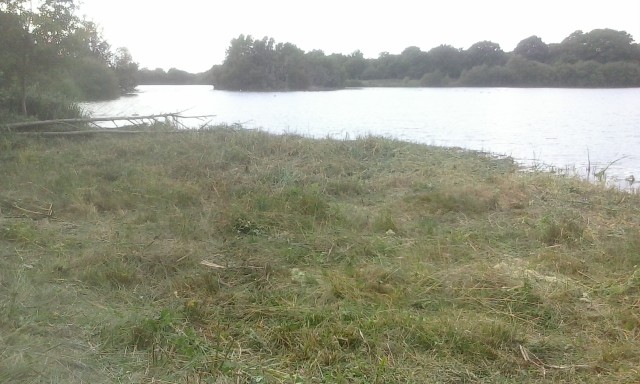 Grove Hide View After