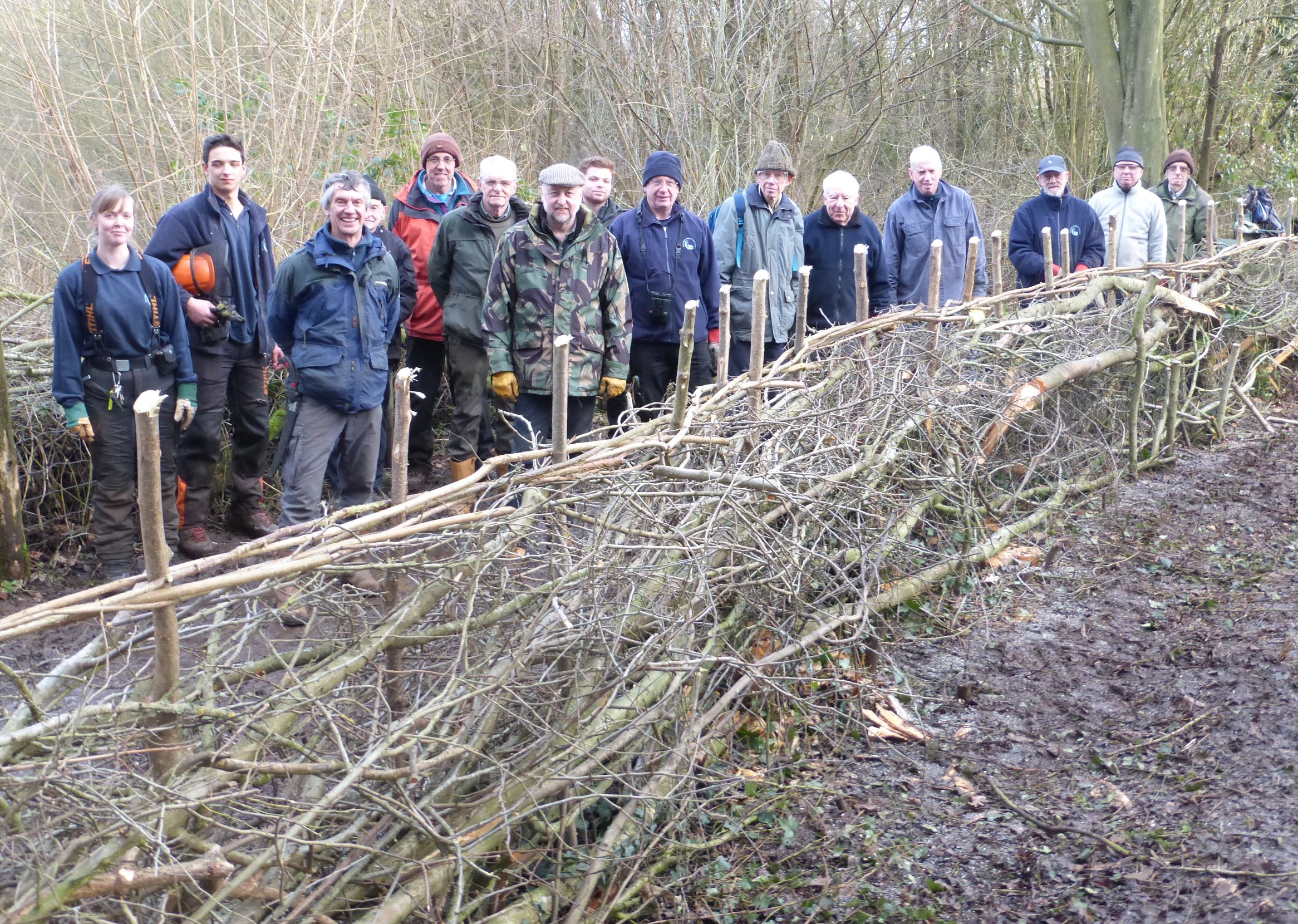 the-tuesday-hedging-volunteers